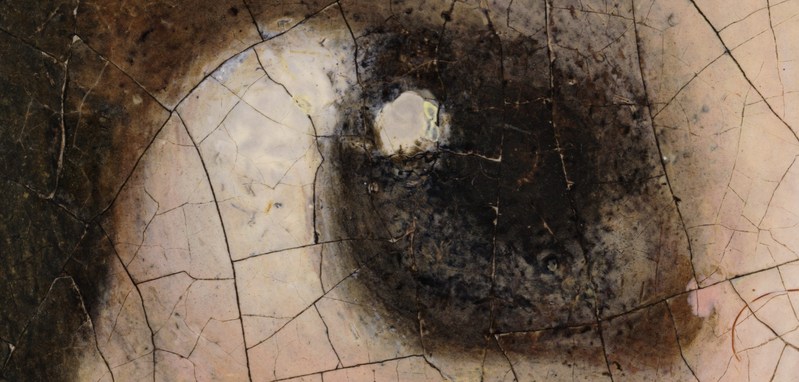 Image de La fille à la perle en milliards de pixels